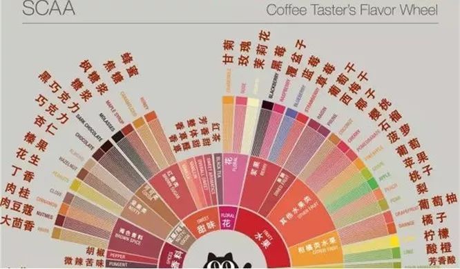 咖啡品鉴 | 咖啡里面的迷人花香，你能分辨出来吗？