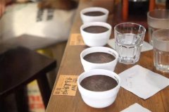 什么是杯测？杯测方法步骤|COE杯测标准|COE与SCA杯测表区别