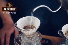 哥斯达黎加八大咖啡产区|日晒、水洗、蜜处理的区别？什么是SHB?