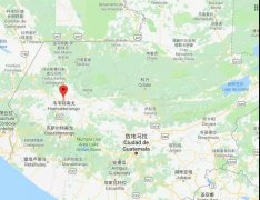 薇薇特南果产区|帕卡马拉的豆子特性与烘焙思路|如何烘焙波尔萨？