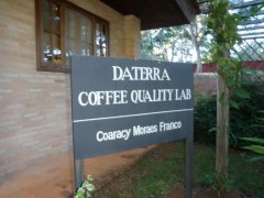 2018年WBrC冠军Emi比赛豆巴西达特拉庄园 Daterra Farm尖身波旁介