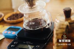詹森庄园红标瑰夏咖啡手冲怎么冲_瑰夏手冲咖啡tds多少合适
