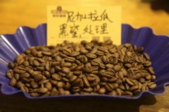 尼加拉瓜咖啡产区介绍、尼加拉瓜咖啡风味特色|烘焙与冲煮建议