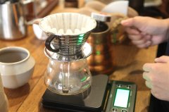 铁皮卡对比|天堂鸟、云南花果山、艾丽达、蓝山的风味？