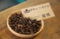 哥斯达黎加 哥伦比亚考卡 危地马拉花神的卡杜拉咖啡豆品种对比