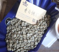 危地马拉SL28咖啡豆烘焙与风味|瓜亚博/番石榴平原庄园