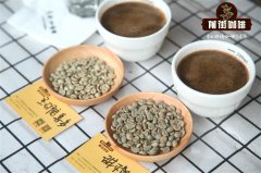 手冲咖啡美洲豆和非洲豆对比 美洲豆和非洲豆哪种更好喝