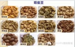 教你区分咖啡的豆好坏，生豆好坏区分，熟豆好坏区分