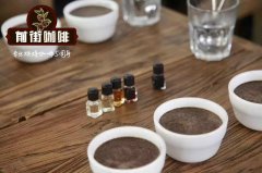咖啡小白从闻香瓶练习开始闻香是杯测的重要环节 咖啡的香气判断