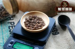 中科院昆明植物所在云南小粒咖啡化学研究