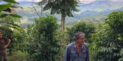 厄瓜多尔皮钦查省咖啡产区风味特征_Finca Maputo庄园故事介绍