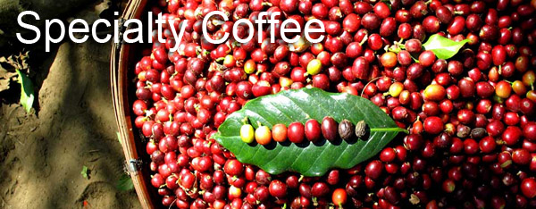 咖啡名词的那些错误的中文翻译_Espresso不是浓缩咖啡？