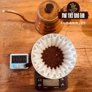 帕卡马拉1958年诞生于萨尔瓦多的新混种直到21世纪才大范围种植