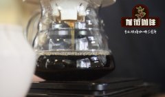 巴布亚新几内亚天堂鸟咖啡怎么喝？巴布亚咖啡适合的烘焙程度