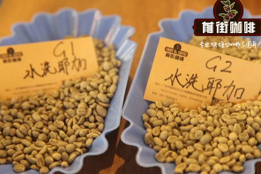 耶加雪啡科契尔g2咖啡与G1的区别风味描述口感简介