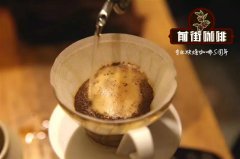 手冲壶品牌特点BONAVITA，HARIO手冲壶的区别适合什么冲煮方式