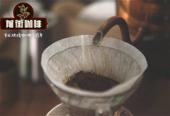 刚果咖啡有什么特点？刚果咖啡产区介绍 刚果梦加诺合作社介绍