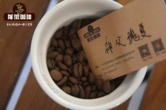 哥斯达黎加塔拉珠圣徒地区神父瑰夏应该怎么冲煮？