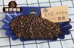 耶加雪菲荷芙莎合作社咖啡豆故事 耶加雪菲咖啡豆有什么风味特点