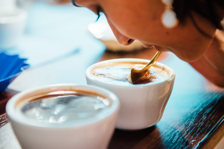 Coffee Cupping | 参加咖啡杯测前必须了解的几点小知识