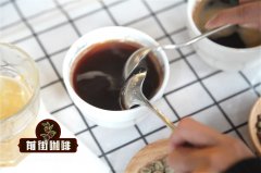 什么是精品咖啡以及咖啡风味的专有名词描述