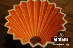 Origami折纸滤杯使用不同的滤纸进行萃取差别大吗？
