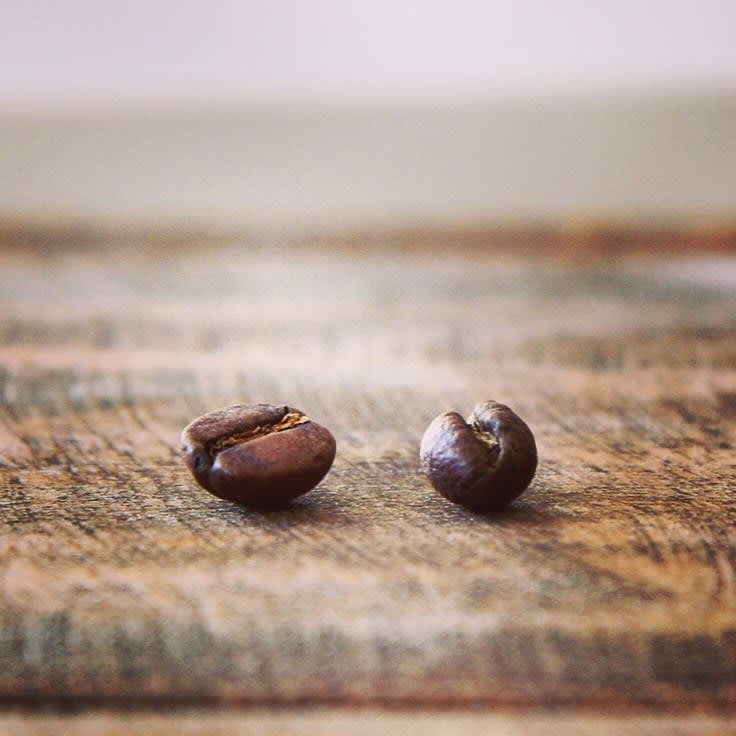 公豆？母豆？平豆？圆豆？Peaberry咖啡豆会更好喝一点吗？