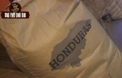 洪都拉斯威士忌雪莉酒桶处理咖啡豆烘焙特点及故事