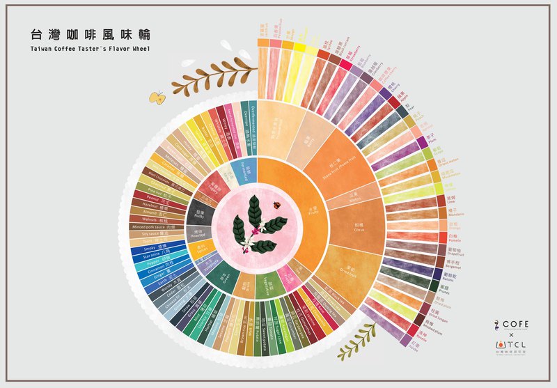 【咖啡品鉴心法】快速入门有秘诀！新手先学拆解味道！