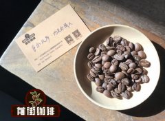 萨尔瓦多巧克力情人咖啡应该怎么喝？萨尔瓦多咖啡风味