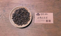 哥伦比亚圣荷西朗姆酒桶发酵咖啡应该用什么水温冲煮？