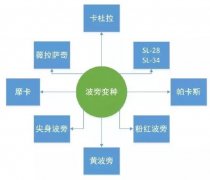 罕见的咖啡品种介绍——国王波旁咖啡|国王波旁咖啡风味
