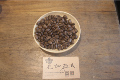 尼加拉瓜莱安德里亚庄园日晒马拉卡杜拉咖啡专题报告