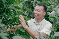 chemex咖啡壶原理介绍_雅致手冲星巴克详解_chemex与手冲的区别