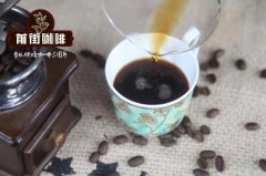 咖啡豆酒桶发酵处理法介绍|荔枝兰咖啡豆风味是什么风味？