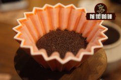 COE咖啡 coe咖啡是什么意思 coe卓越杯是什么比赛 咖啡coe评测指
