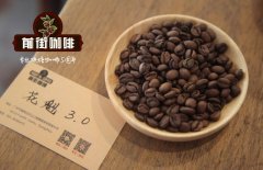 单品咖啡有什么好推荐 威士忌酒桶发酵咖啡豆酒韵醉人