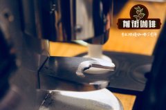 如何选择适合自己的磨豆机 平刀、锥刀、鬼齿的优缺点各是什么