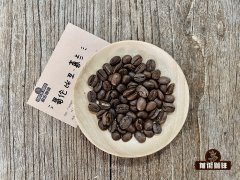 哥伦比亚咖啡豆背景 蕙兰咖啡豆产地风味 希望庄园得奖记录