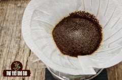 危地马拉薇薇特南果咖啡豆风味特点 伊斯纳尔庄园水洗咖啡豆