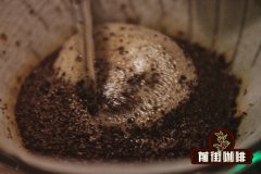 咖啡历史起源发展文化 发现咖啡 咖啡传到欧洲