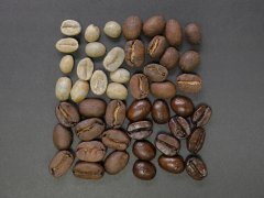 新豆、旧豆、老豆、优质陈年豆之间的差别是什么？