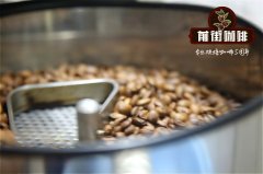 生长环境对咖啡豆的影响 咖啡的血统和品种介绍