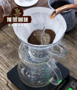 巴西巴伊亚喜拉多、巴伊亚高原咖啡小产区的背景介绍