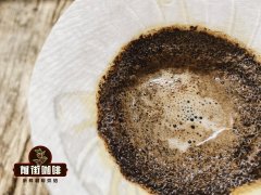 危地马拉巨石庄园咖啡豆 巨石庄园的介绍以及咖啡风味特点