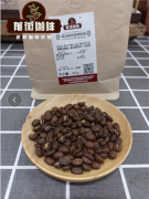 哥斯达黎加音乐家系列之贝多芬水洗咖啡豆风味特色