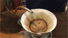咖啡含有什么生物碱 生物碱是咖啡苦味的来源吗 生物碱是什么