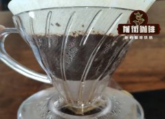 哪个国家猫屎咖啡豆最正宗？麝香猫咖啡手冲特点及故事