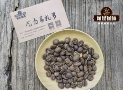 坦桑尼亚精品咖啡豆 乞力马扎罗咖啡豆 乞力马扎罗适合手冲吗