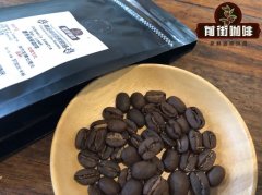 麝香猫咖啡 猫屎咖啡真的是猫屎吗 猫屎咖啡的由来和风味